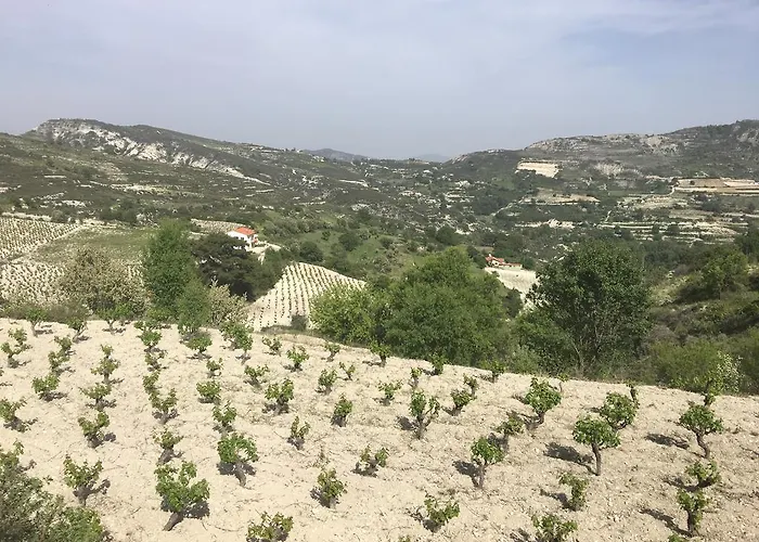 Koilani Village House ヴィラ Koilani