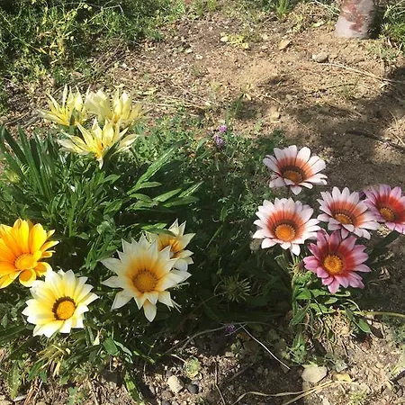 Villa Koilani Village House *