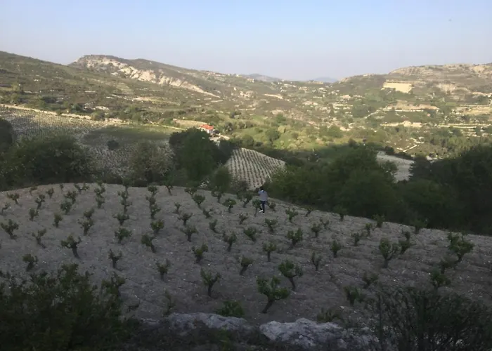 Koilani Village House Vila